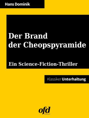 Cover of the book Der Brand der Cheopspyramide by Jutta Schütz