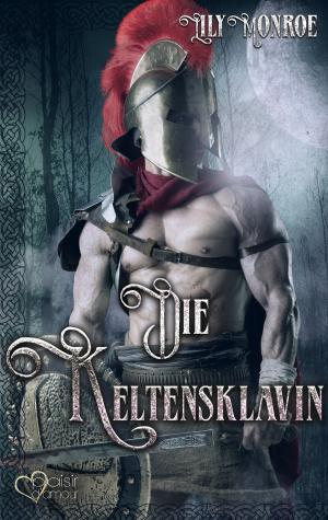 Book cover of Die Keltensklavin