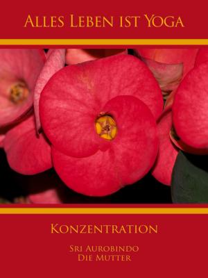 bigCover of the book Konzentration by 