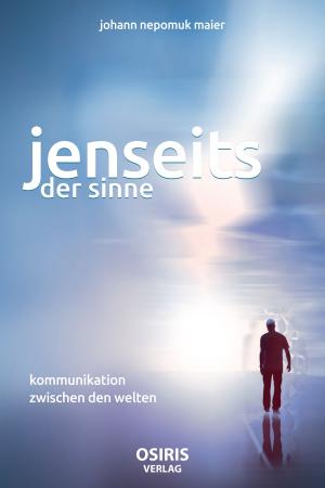 Cover of the book Jenseits der Sinne by Johann Nepomuk Maier