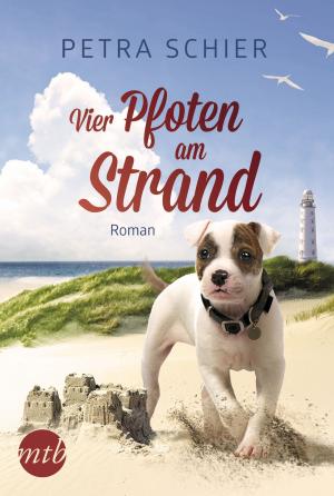 Cover of the book Vier Pfoten am Strand by Jodi Lynn Copeland