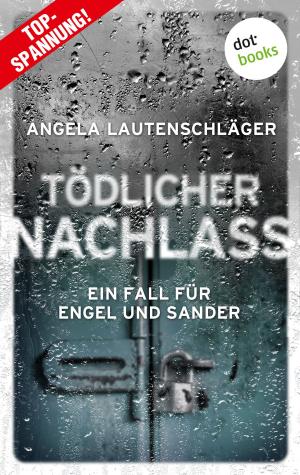 Cover of the book Tödlicher Nachlass - Ein Fall für Engel und Sander 3 by Jan van Amstel