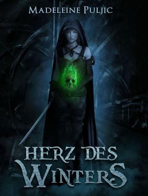 Book cover of Herz des Winters