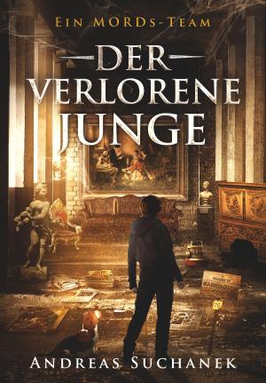 bigCover of the book Ein MORDs-Team - Band 20: Der verlorene Junge by 