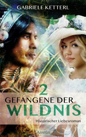 Cover of the book Gefangene der Wildnis 2 by Michael Marrak
