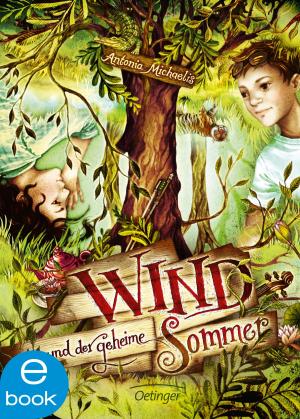 Cover of the book Wind und der geheime Sommer by C. J. Daugherty