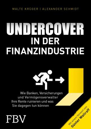 Cover of the book Undercover in der Finanzindustrie by Peter Boehringer