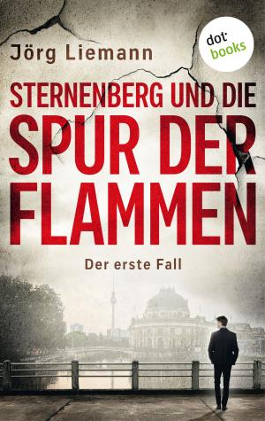 Cover of the book Sternenberg und die Spur der Flammen - Der erste Fall by Xenia Jungwirth