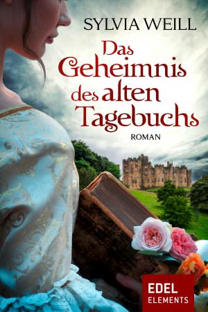 Cover of Das Geheimnis des alten Tagebuchs