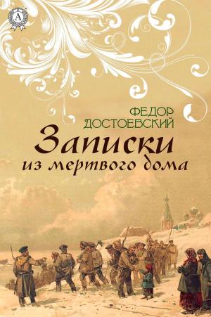 Cover of the book Записки из мертвого дома by Борис Акунин