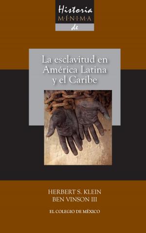Book cover of Historia mínima de la esclavitud en América Latina y en el Caribe