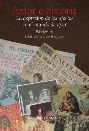 Cover of the book Amor e historia. by Marta Tawil Kuri, Ismael Aguilar Barajas, Noé Arón Fuentes Flores, Juan Antonio Le Clercq, Silvia Núñez García, Lorena Ruano Gómez