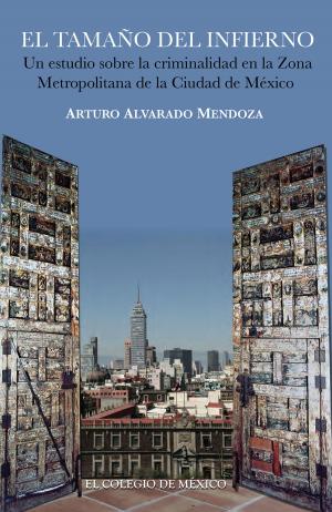 Cover of the book El tamaño del infierno by Guillermo Zermeño Padilla