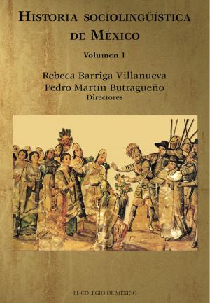 Cover of the book Historia sociolingüística de México. by Ana María Tepichin, Karine Tinat, Luzelena Gutierrez Velazco