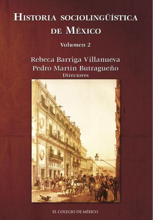 Cover of the book Historia sociolingüística de México. by Dimitri Karadimas, Karine Tinat