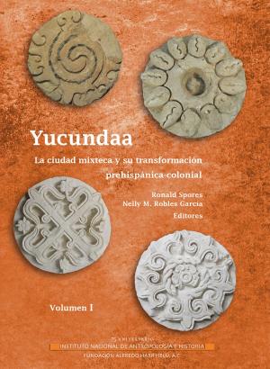 Cover of the book Yucundaa by Diego Pulido Esteva