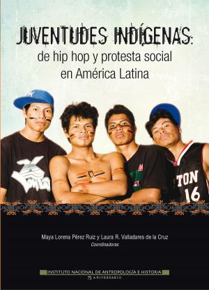 Book cover of Juventudes indígenas