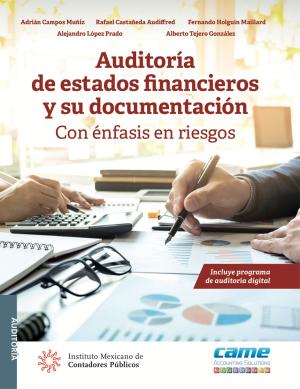 Cover of the book Auditoría de estados financieros y su documentación by Mario Soto Figueroa