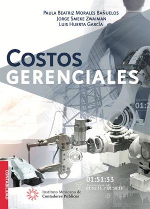 Cover of the book Costos Gerenciales by Felipe Pérez Cervantes, William Allan Biese Decker, Luis Antonio Cortés Moreno, Elsa Beatriz García Bojorges, Juan Mauricio Gras Gas