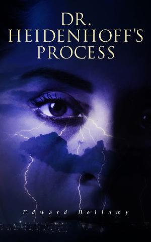 Cover of the book Dr. Heidenhoff's Process by Pete Blyth