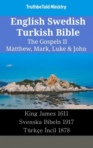 bigCover of the book English Swedish Turkish Bible - The Gospels II - Matthew, Mark, Luke & John by 