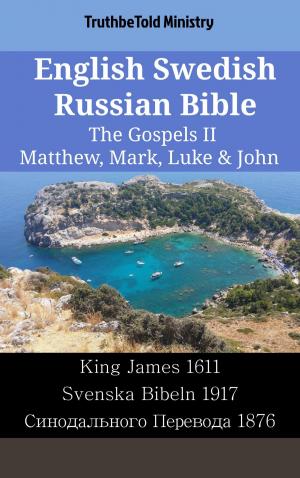 bigCover of the book English Swedish Russian Bible - The Gospels II - Matthew, Mark, Luke & John by 