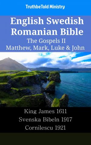 bigCover of the book English Swedish Romanian Bible - The Gospels II - Matthew, Mark, Luke & John by 