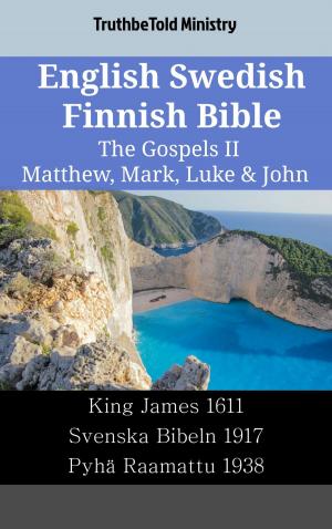 bigCover of the book English Swedish Finnish Bible - The Gospels II - Matthew, Mark, Luke & John by 