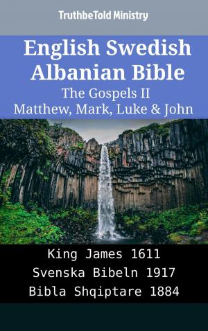 bigCover of the book English Swedish Albanian Bible - The Gospels II - Matthew, Mark, Luke & John by 