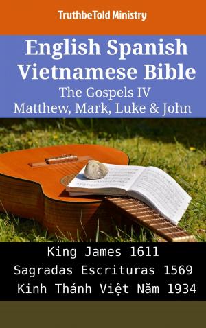 Cover of English Spanish Vietnamese Bible - The Gospels IV - Matthew, Mark, Luke & John