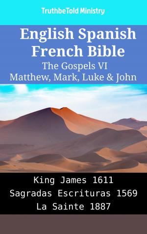 Cover of the book English Spanish French Bible - The Gospels VI - Matthew, Mark, Luke & John by TruthBeTold Ministry