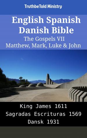 bigCover of the book English Spanish Danish Bible - The Gospels VII - Matthew, Mark, Luke & John by 