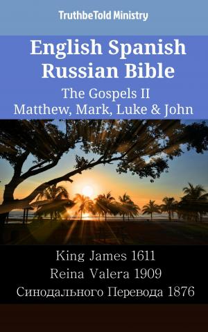 Book cover of English Spanish Russian Bible - The Gospels II - Matthew, Mark, Luke & John