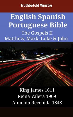 Cover of English Spanish Portuguese Bible - The Gospels II - Matthew, Mark, Luke & John