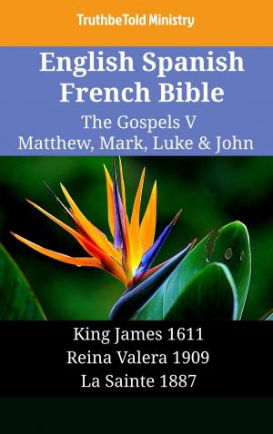 Book cover of English Spanish French Bible - The Gospels V - Matthew, Mark, Luke & John