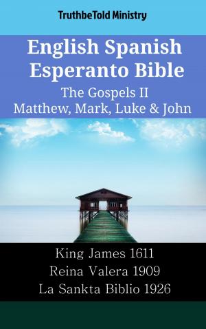 bigCover of the book English Spanish Esperanto Bible - The Gospels II - Matthew, Mark, Luke & John by 