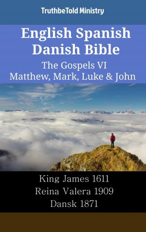 Cover of English Spanish Danish Bible - The Gospels VI - Matthew, Mark, Luke & John