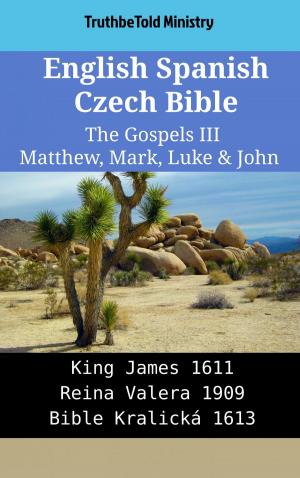 Cover of English Spanish Czech Bible - The Gospels III - Matthew, Mark, Luke & John