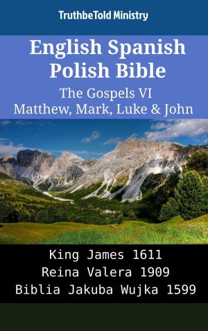 Cover of English Spanish Polish Bible - The Gospels VI - Matthew, Mark, Luke & John