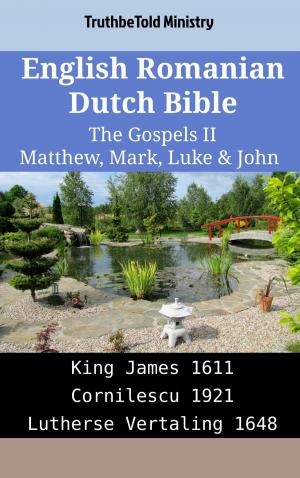 bigCover of the book English Romanian Dutch Bible - The Gospels II - Matthew, Mark, Luke & John by 