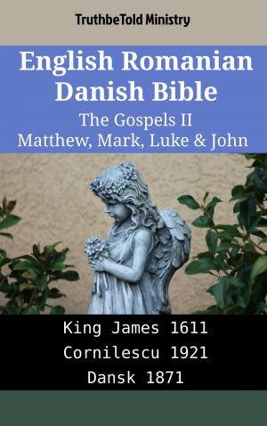 bigCover of the book English Romanian Danish Bible - The Gospels II - Matthew, Mark, Luke & John by 