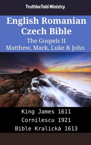 bigCover of the book English Romanian Czech Bible - The Gospels II - Matthew, Mark, Luke & John by 