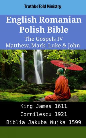 bigCover of the book English Romanian Polish Bible - The Gospels IV - Matthew, Mark, Luke & John by 
