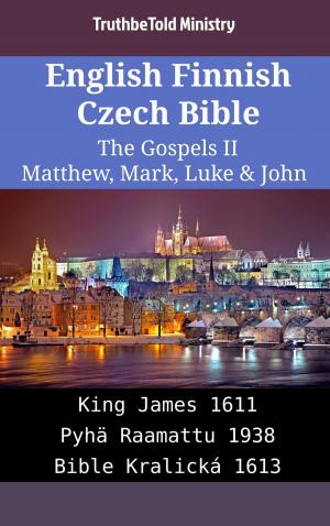 bigCover of the book English Finnish Czech Bible - The Gospels II - Matthew, Mark, Luke & John by 