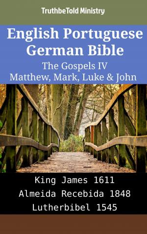Cover of English Portuguese German Bible - The Gospels IV - Matthew, Mark, Luke & John