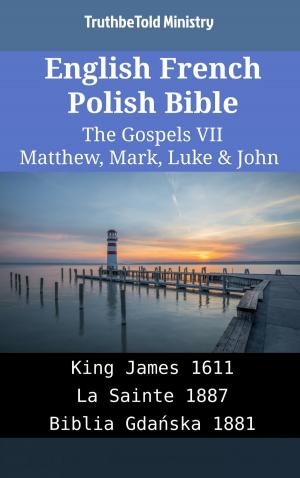 Book cover of English French Polish Bible - The Gospels VII - Matthew, Mark, Luke & John