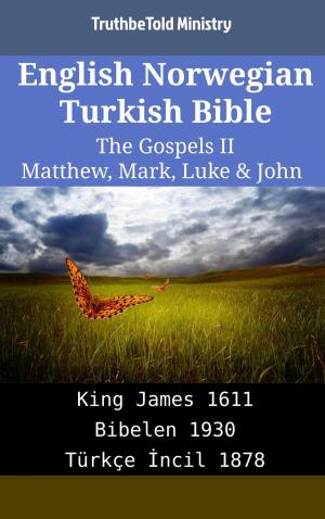bigCover of the book English Norwegian Turkish Bible - The Gospels II - Matthew, Mark, Luke & John by 