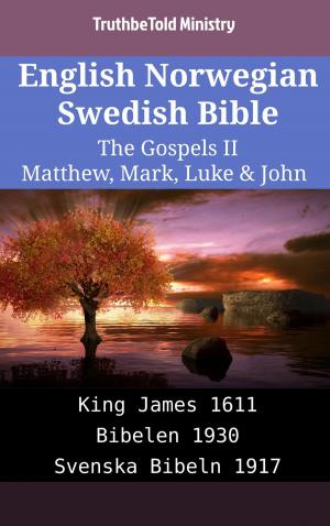 Cover of English Norwegian Swedish Bible - The Gospels II - Matthew, Mark, Luke & John