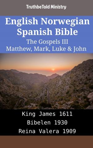 Cover of the book English Norwegian Spanish Bible - The Gospels III - Matthew, Mark, Luke & John by JT Clayton