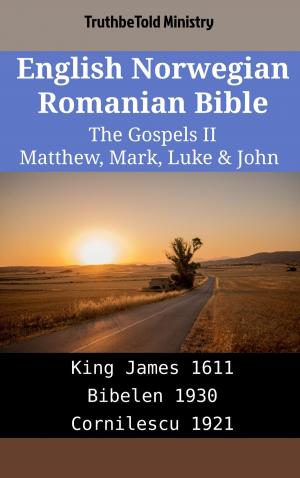 bigCover of the book English Norwegian Romanian Bible - The Gospels II - Matthew, Mark, Luke & John by 
